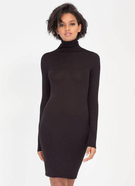 Up To Your Neck Turtleneck Dress