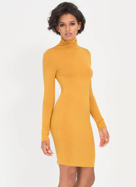 Up To Your Neck Turtleneck Dress