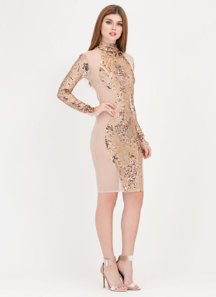 Sheer Curves Sequined Mesh Dress